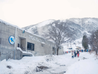 55周年の「エイブル白馬五竜」が魅せる進化の舞台裏！お客様を想う経営が創る、感動のウィンターシーズン✨