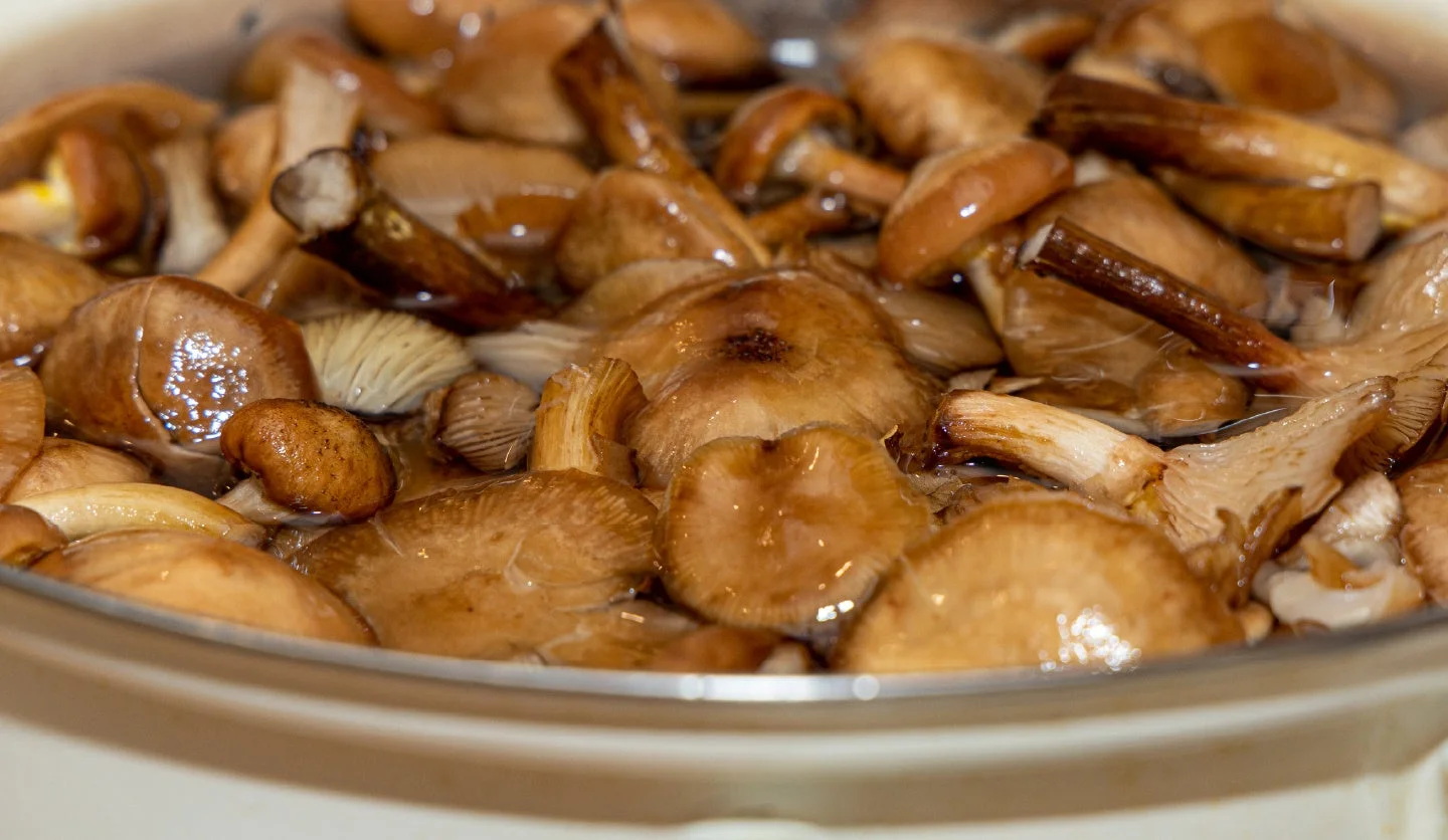 鍋いっぱいのキノコ