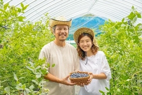 ブルーベリーを収穫する金子夫妻