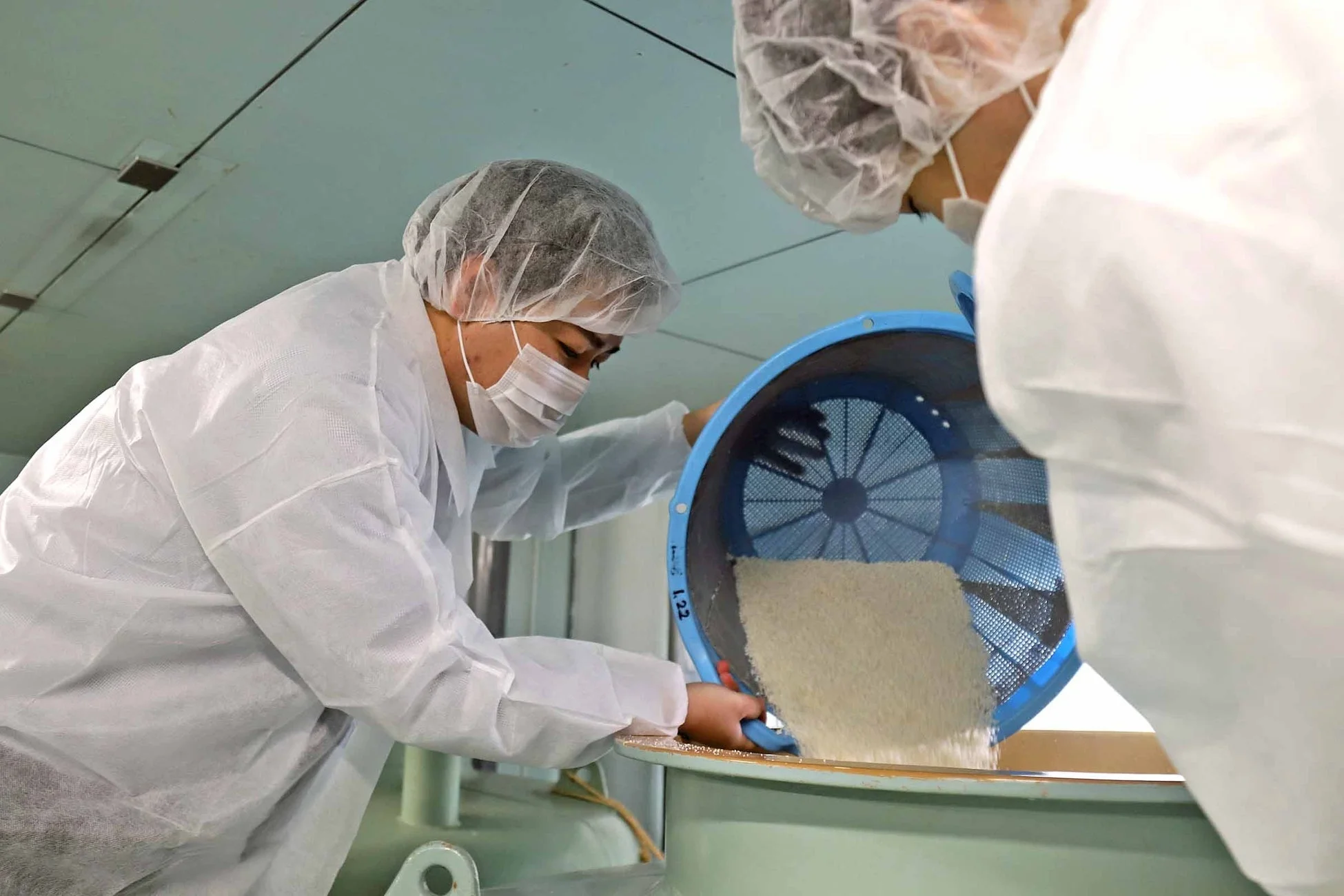 中埜酒造での酒造り体験