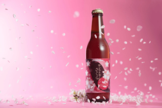 春を先取る「飲む桜餅」！🌸サンクトガーレンの限定ビール「さくら」で一足早いお花見気分を味わおう！
