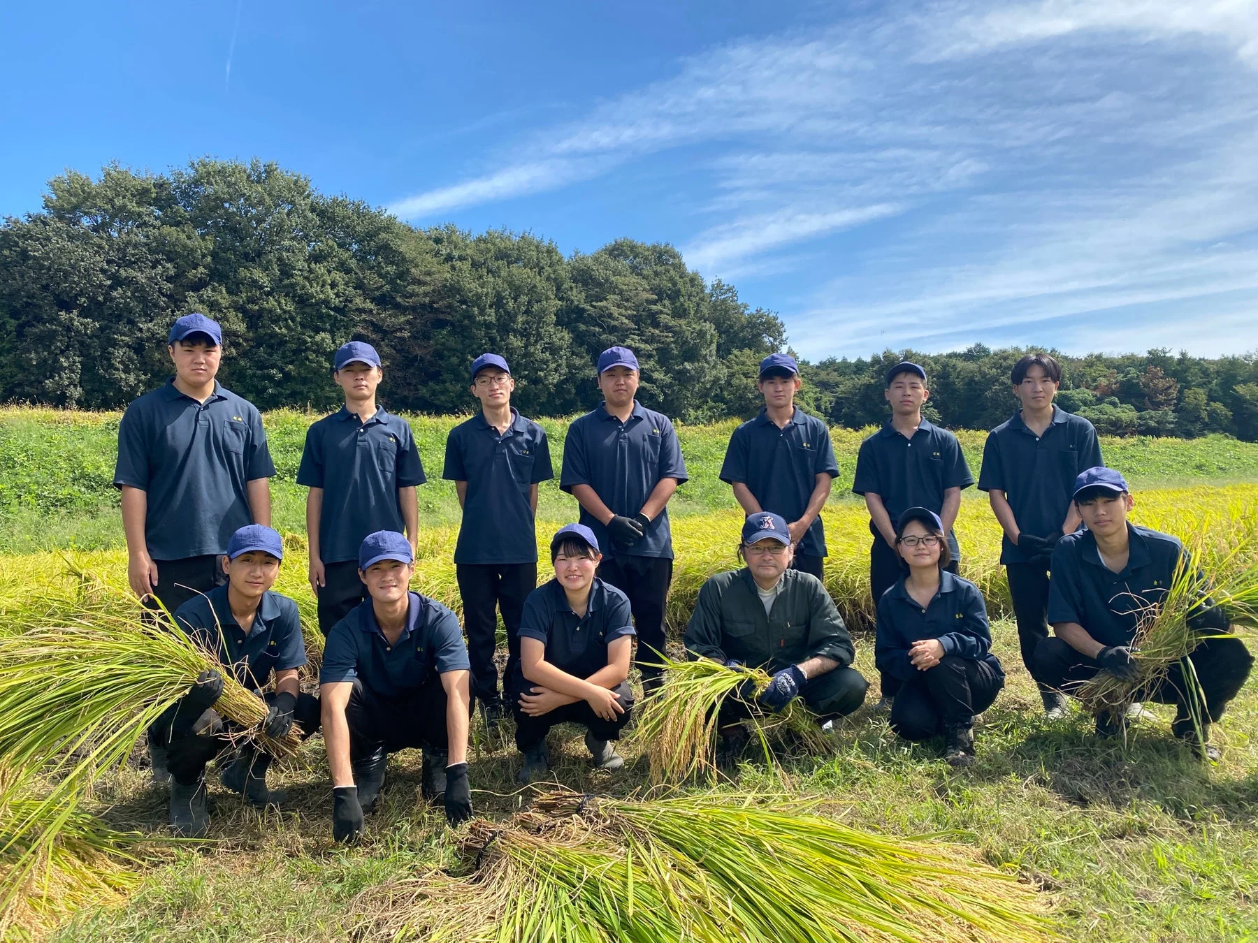 生徒が稲刈りする様子
