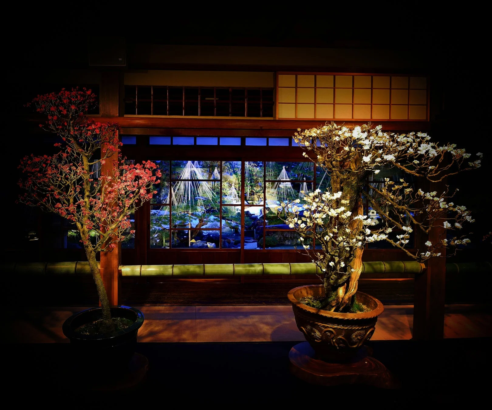 夜間ライトアップされた盆栽