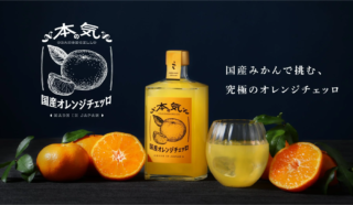 日本の酒蔵が本気を出した！🍊国産みかんで作る「究極のオレンジチェッロ」が新登場✨
