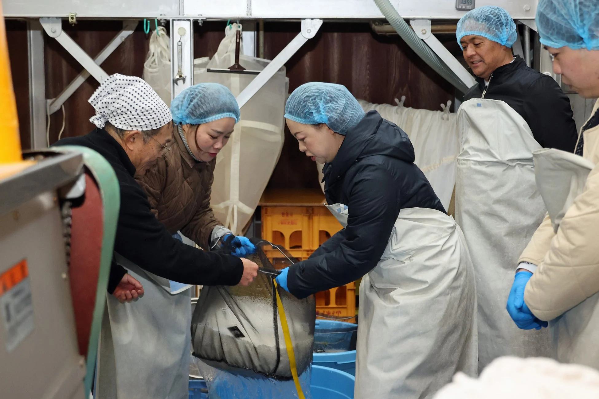 舩坂酒造店での酒造り体験