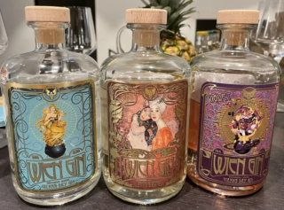 ウィーンの美学が詰まったクラフトジン『Wien Gin』がついに日本へ本格上陸！🍸✨