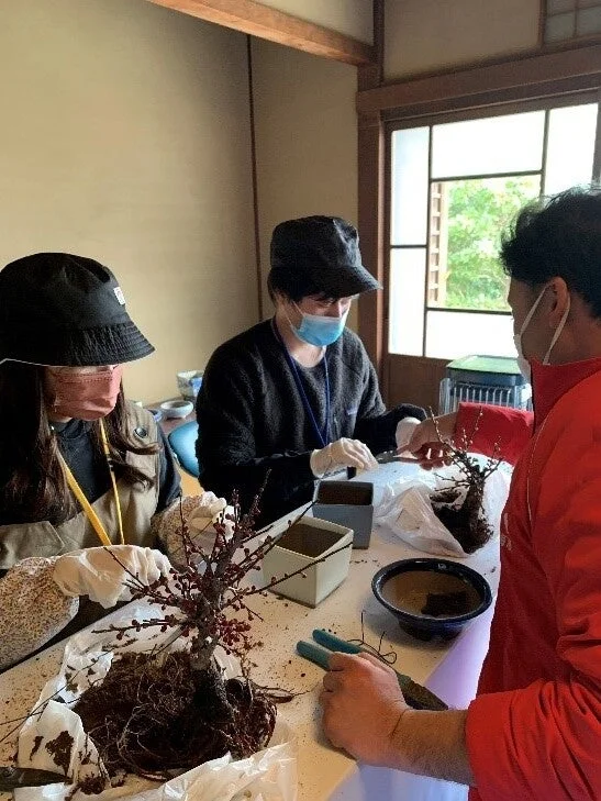 盆栽のワークショップ
