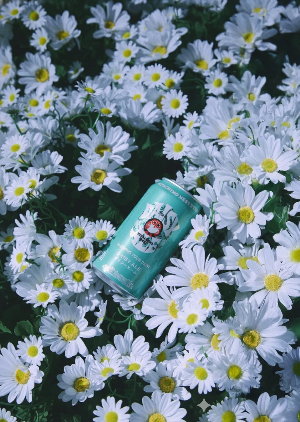 デイジーの花とデイジーエールの缶