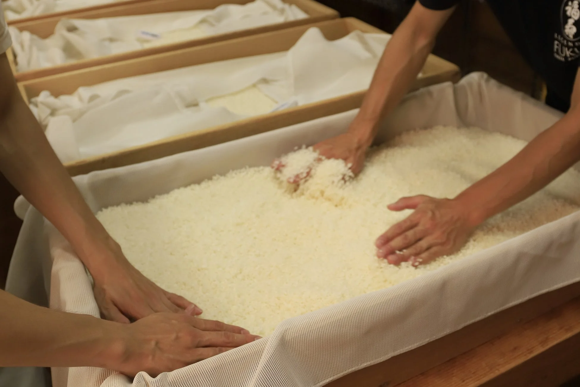 木箱に広げられた米を複数の手で丁寧に混ぜている様子。