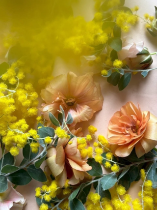 国際女性デーに贈る特別な一杯！北海道厚岸発クラフトビール「ミモザ セゾン」で「育む」時間を🥂✨