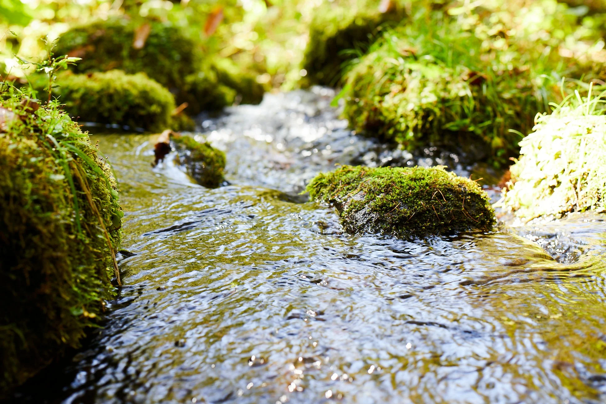 清らかな渓流