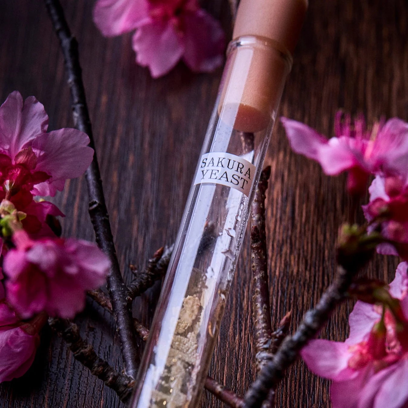 桜の花と試験管