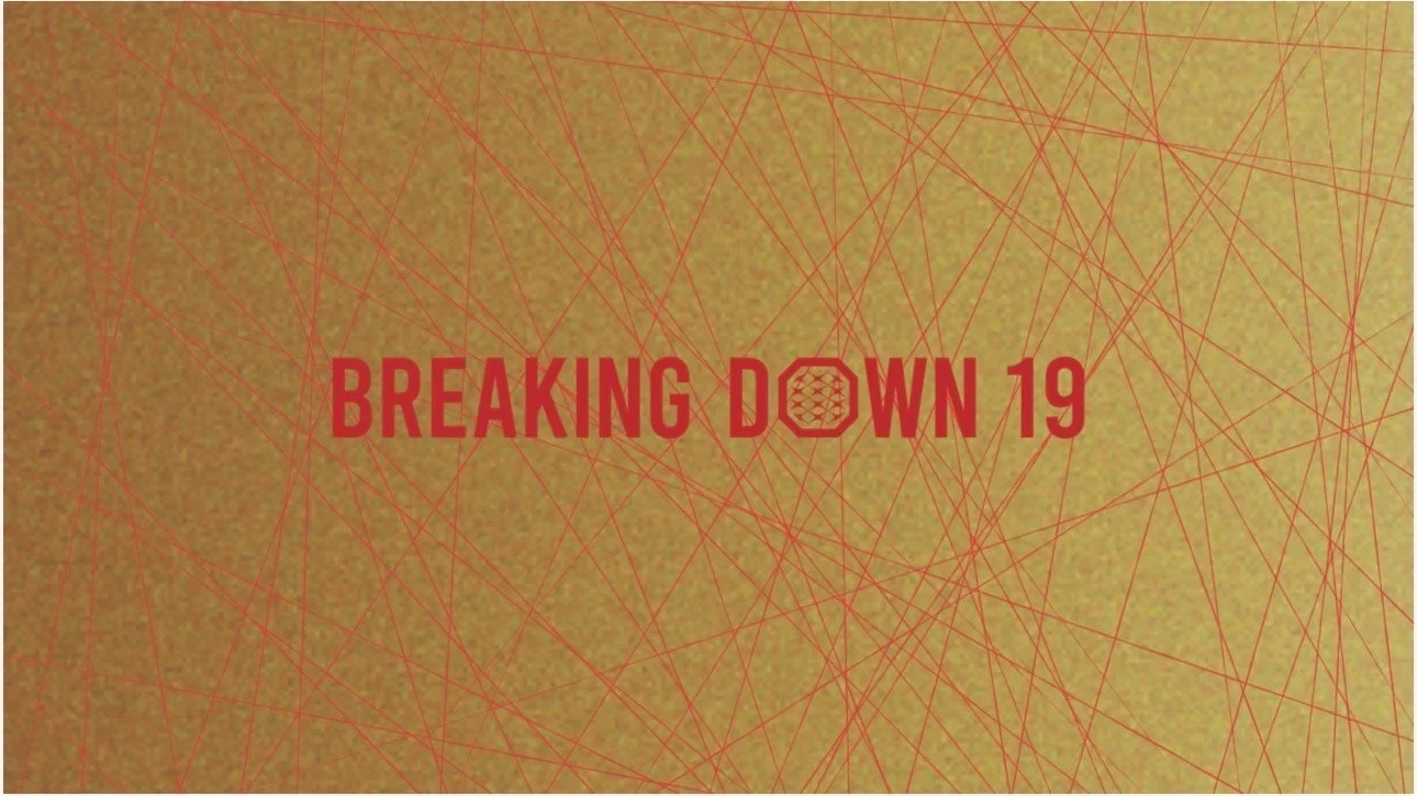 BreakingDown19