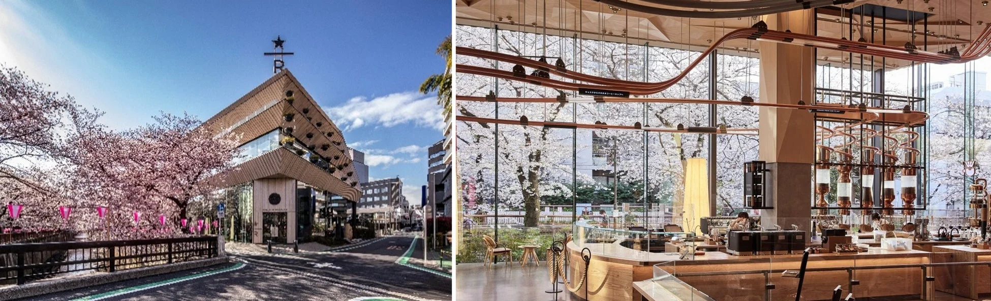 中目黒のスターバックス リザーブ ロースタリー 東京の春の様子を捉えた画像です。満開の桜並木に囲まれた外観と、窓から桜が見える開放的な店内が写っており、美しい日本の春の風景とモダンなカフェ空間が融合しています。