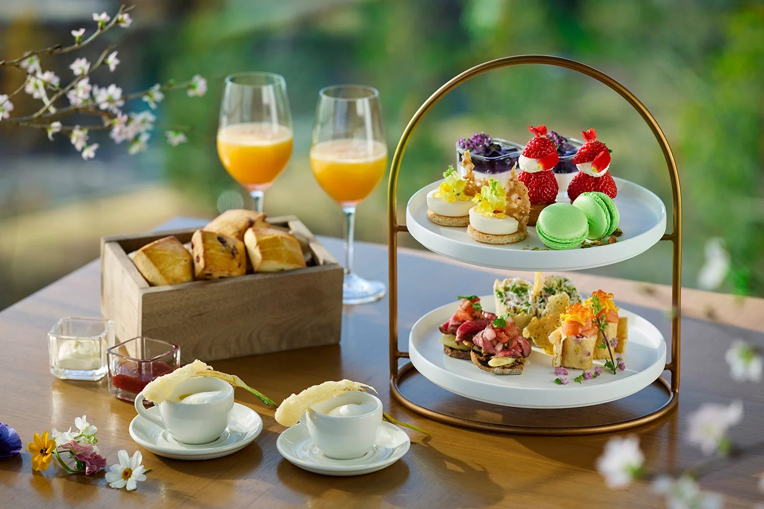 ã¢ãã¿ããŒã³ãã£ãŒ