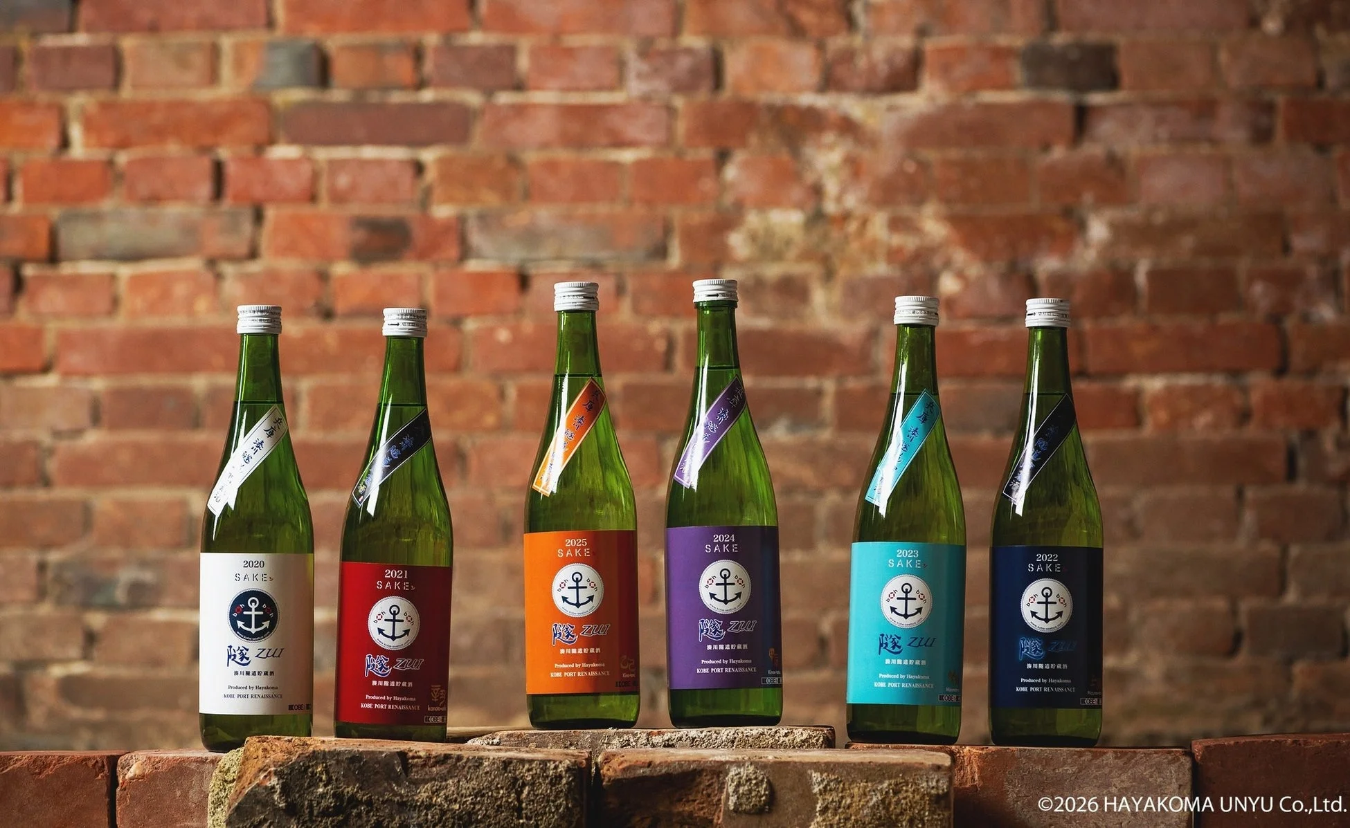 レンガの壁を背景に、異なる色のラベルが貼られた6本の日本酒「陰 ZUI」ボトルが並べられています。