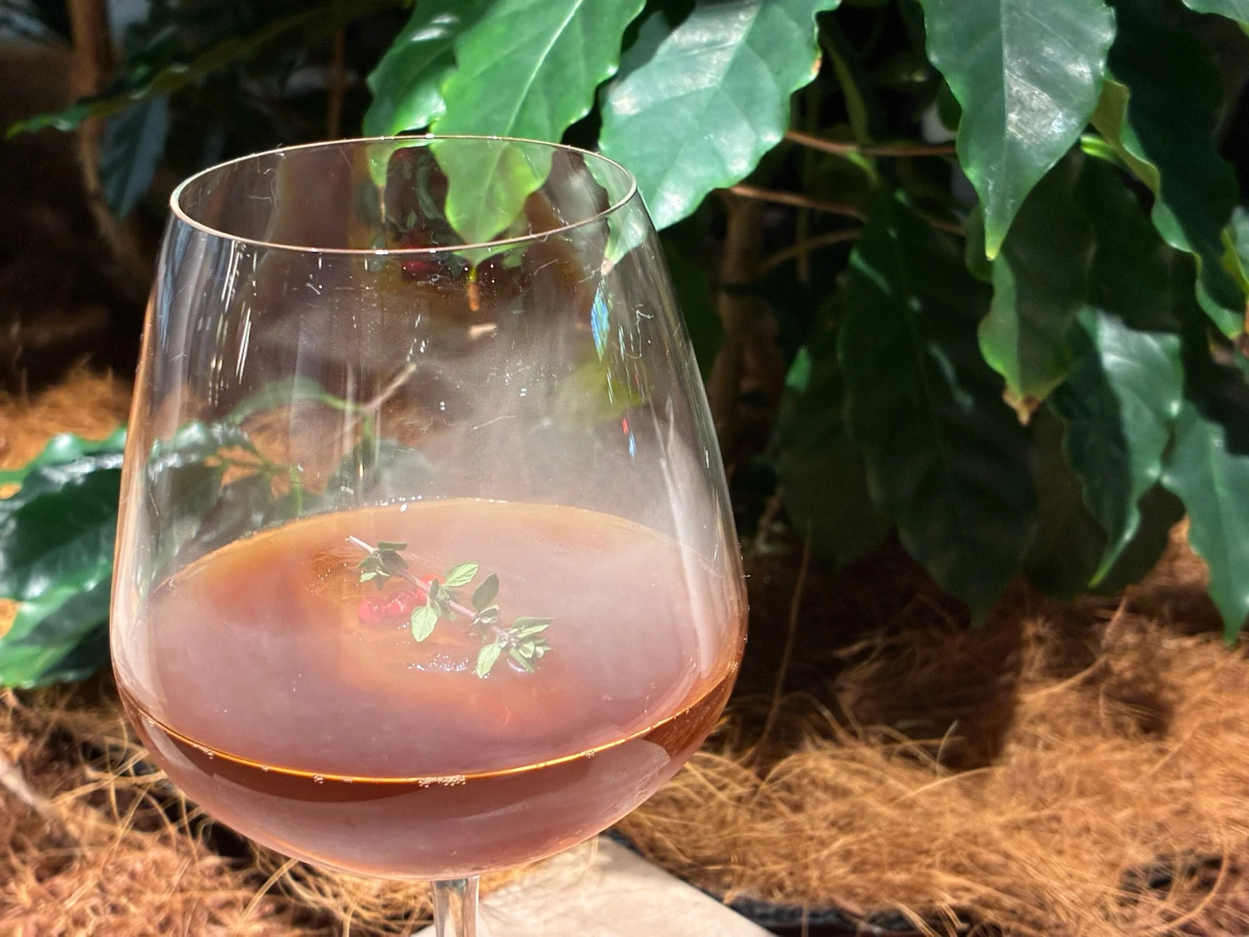 ワイングラスに入ったカクテル