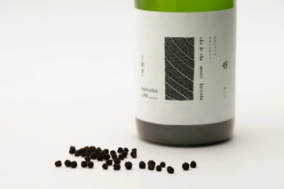 桜香るSake「SECRET SPRING」誕生！昆虫の“糞”から生まれる神秘のお茶「虫秘茶」とhaccobaの挑戦が生み出す新体験🍶🌸
