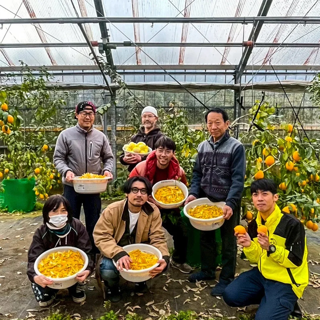 レモンを収穫する人々