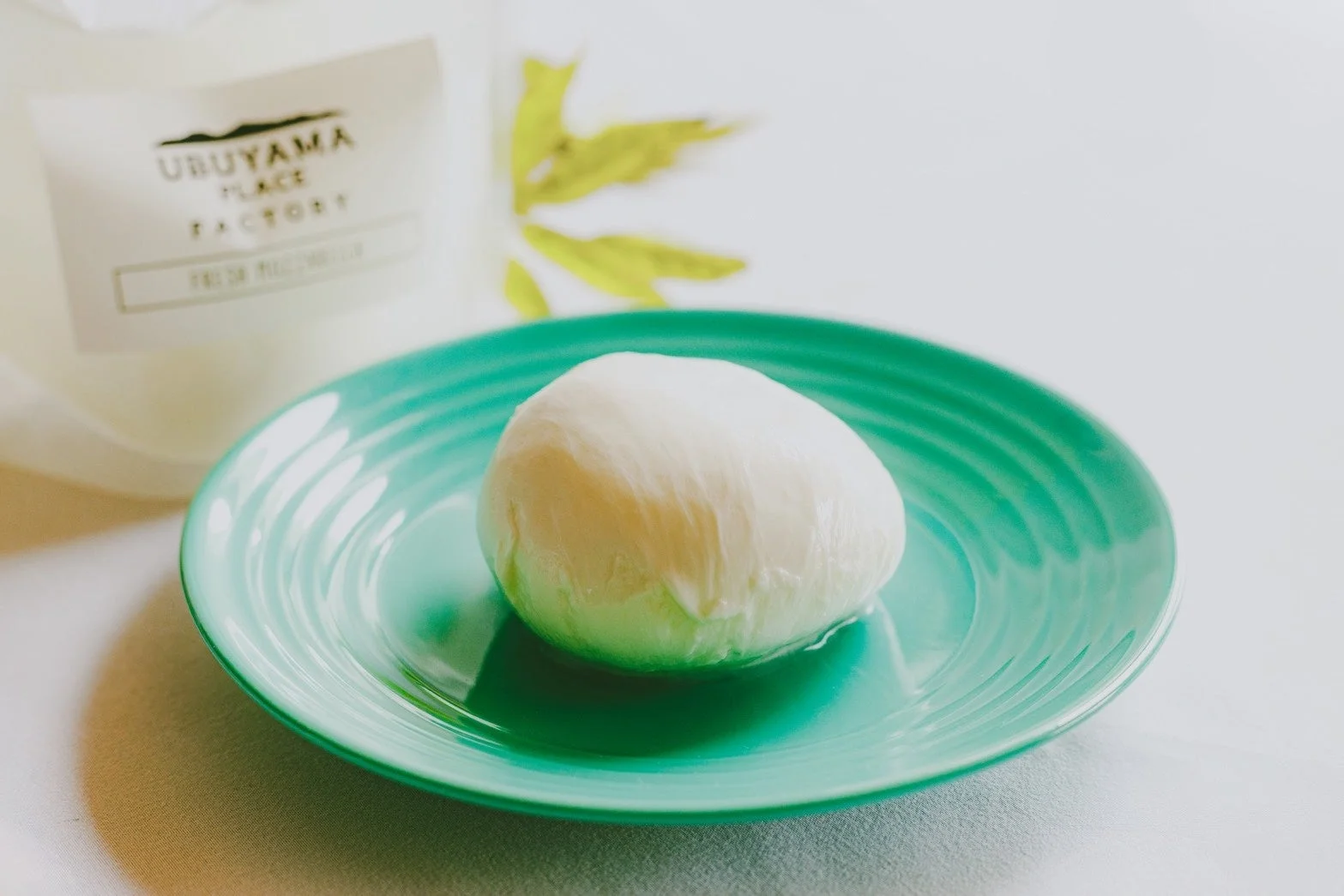 モッツァレラチーズ