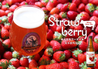 チーズの副産物「ホエイ」が絶品ビールに大変身！サンクトガーレンの『ホエイサワーエール ストロベリー』が示す、未来志向の経営と醸造家の情熱✨