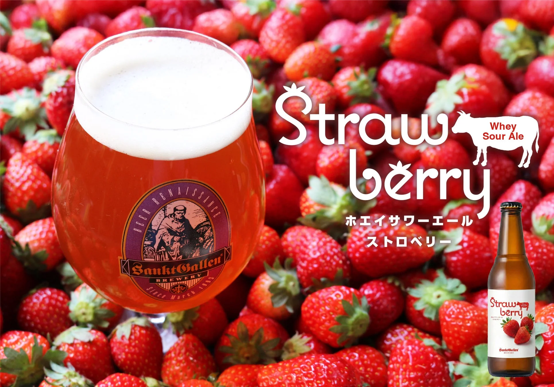 グラスに注がれたストロベリー風味のホエイサワーエールと瓶
