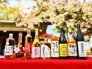 🎉金賞梅酒と幻の「獺祭梅酒」が水戸に集結！『全国梅酒まつり』であなただけの1杯を見つけよう！🥂✨