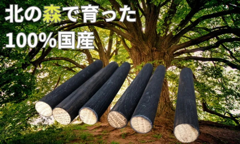 大きな木を背景に、地面に立てかけられた黒い丸太が複数本写っています