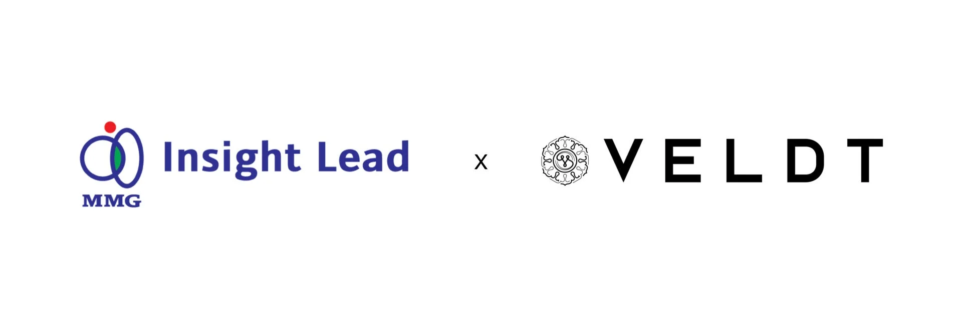 Insight Lead MMG x VELDT
