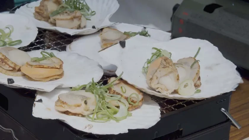 ãã¿ãã®è²çŒã