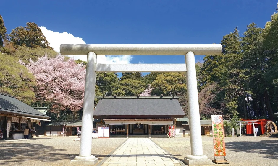 神社と桜