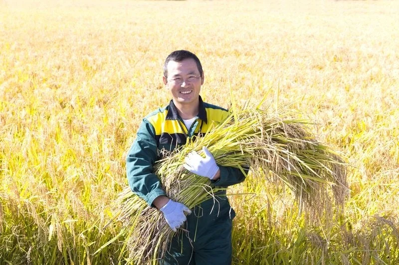 稲を抱える農家の方