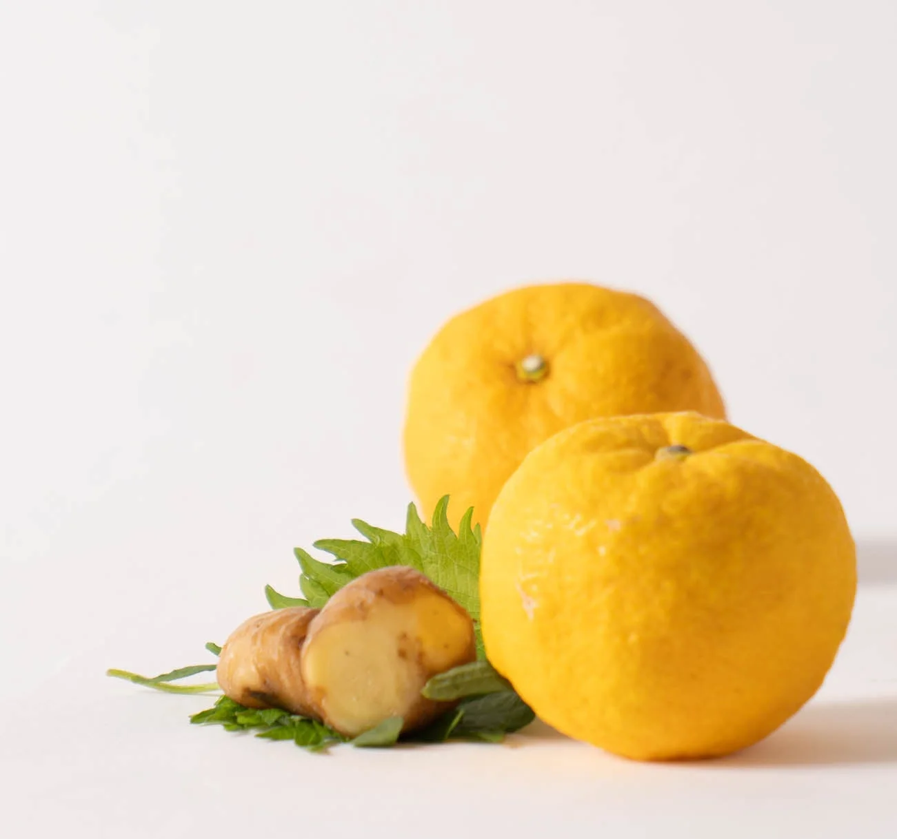 柚子と生姜、大葉