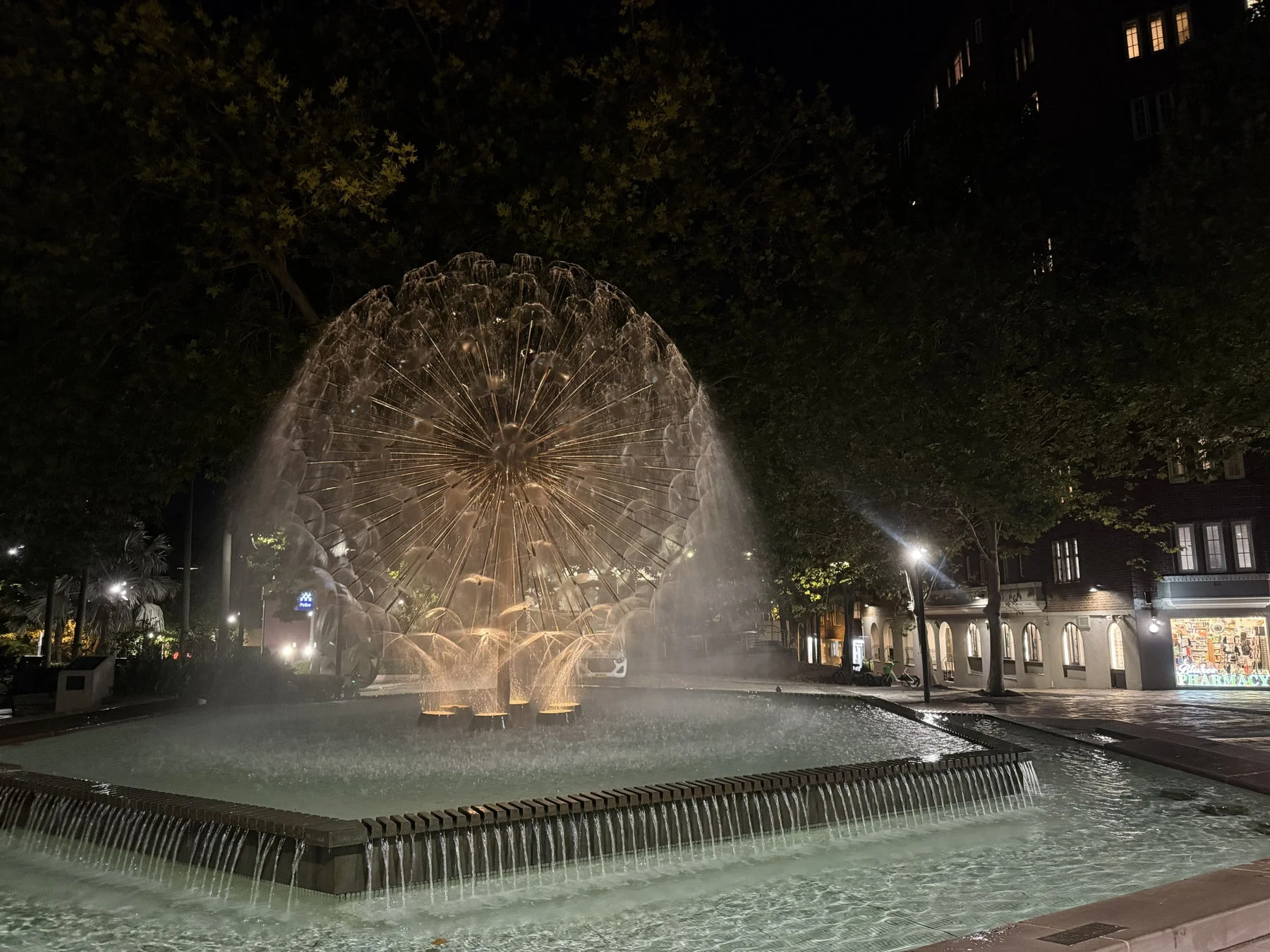 Potts Pointの夜景(噴水)