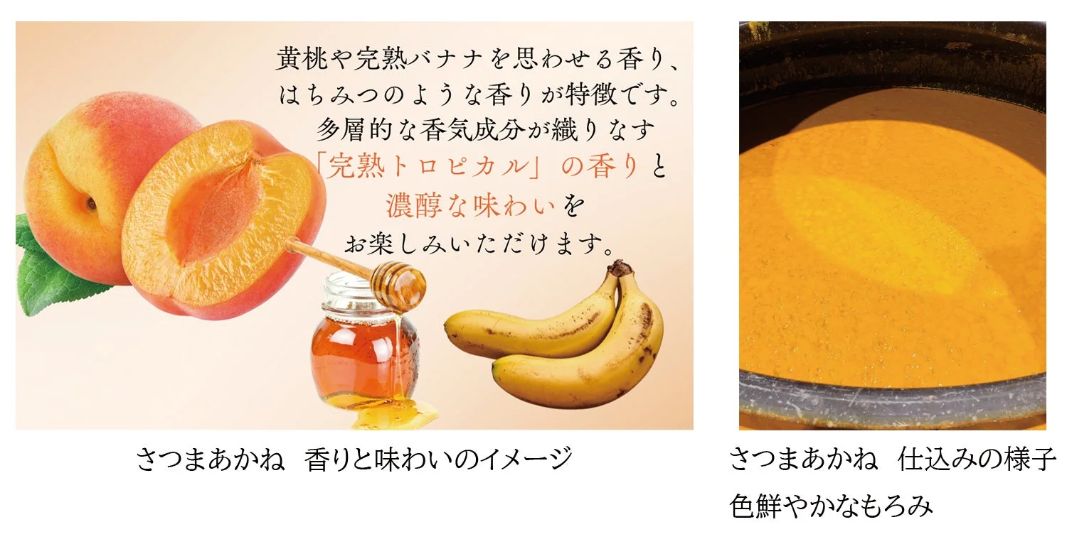 香りと味わいのイメージ、もろみ