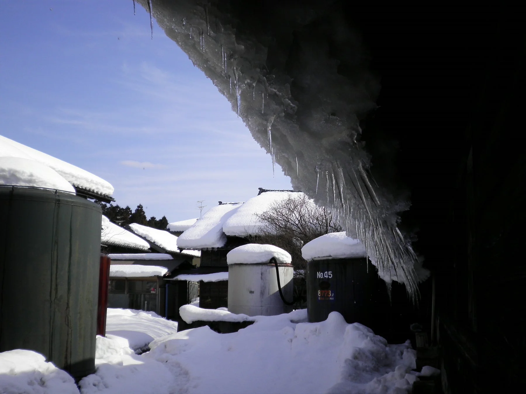 éªã«èŠãããè¶ã€ãã®é
é ã®é¢šæ¯