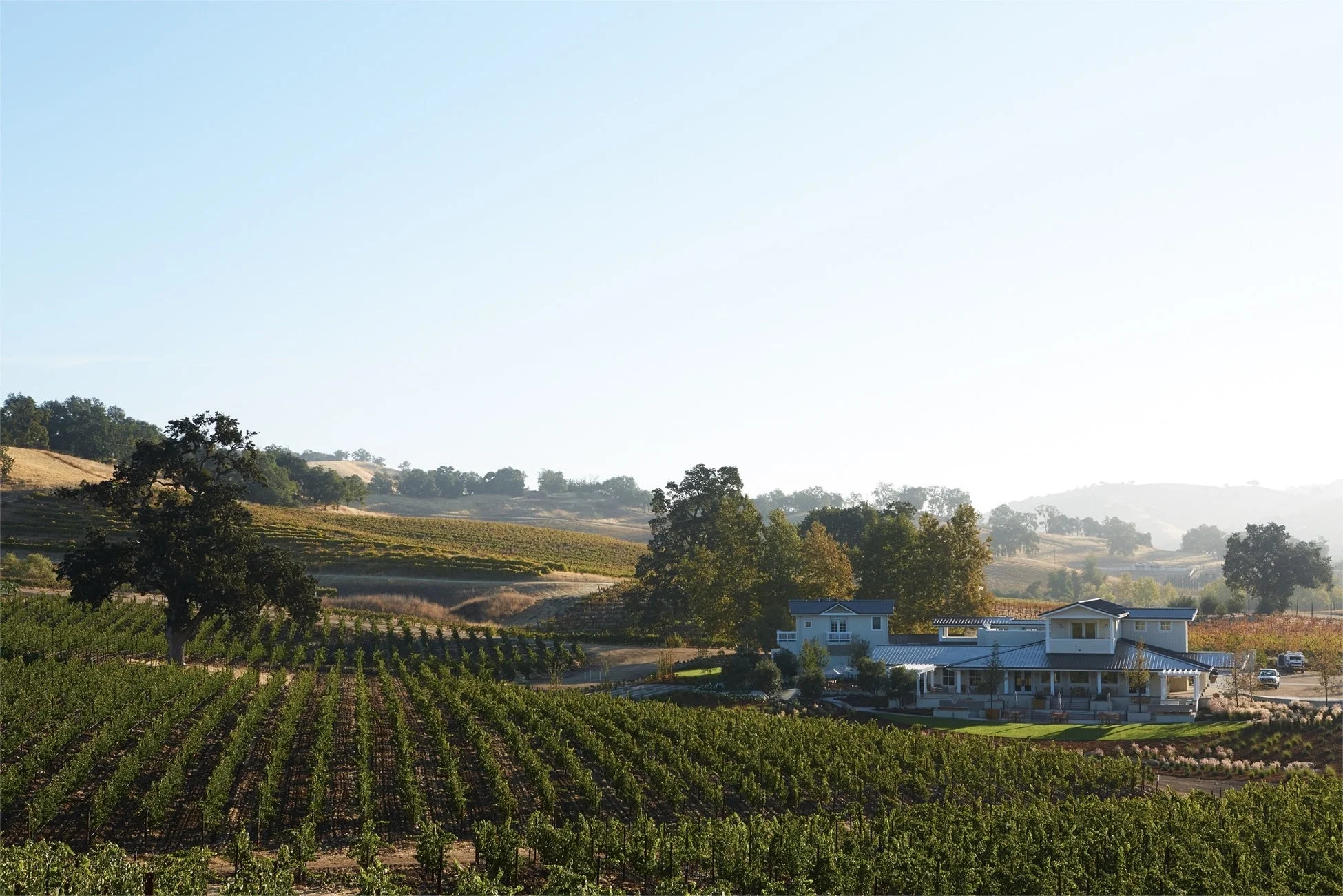 ジャスティン・ヴィンヤードの風景