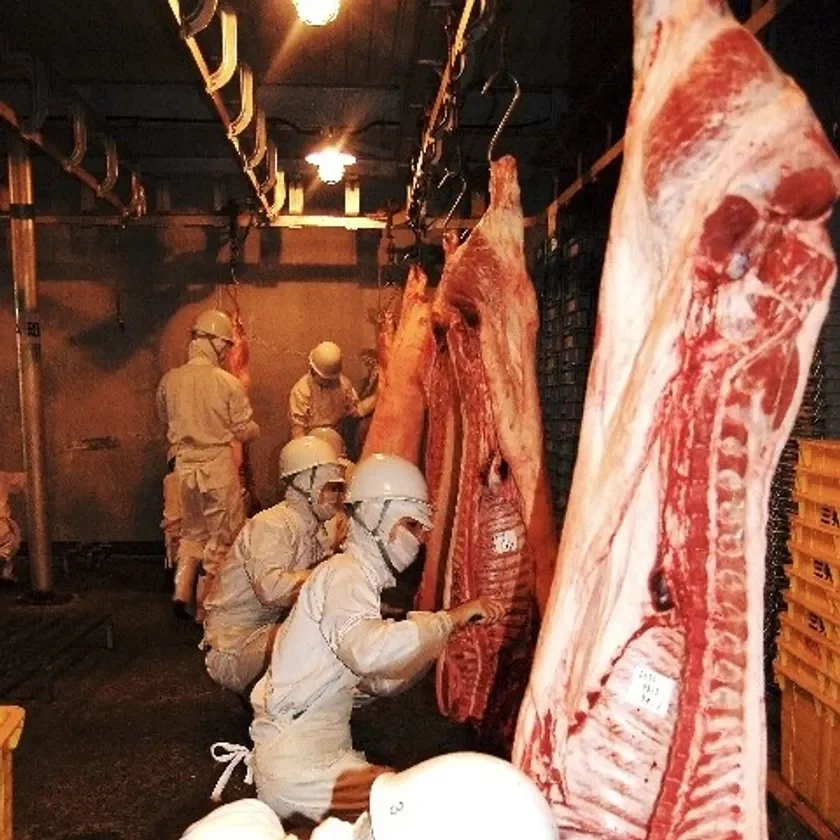 精緻な解体技術