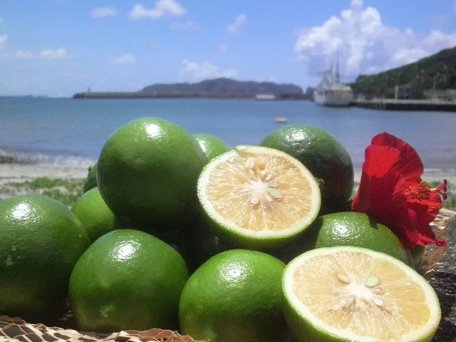 南国のレモンイメージ