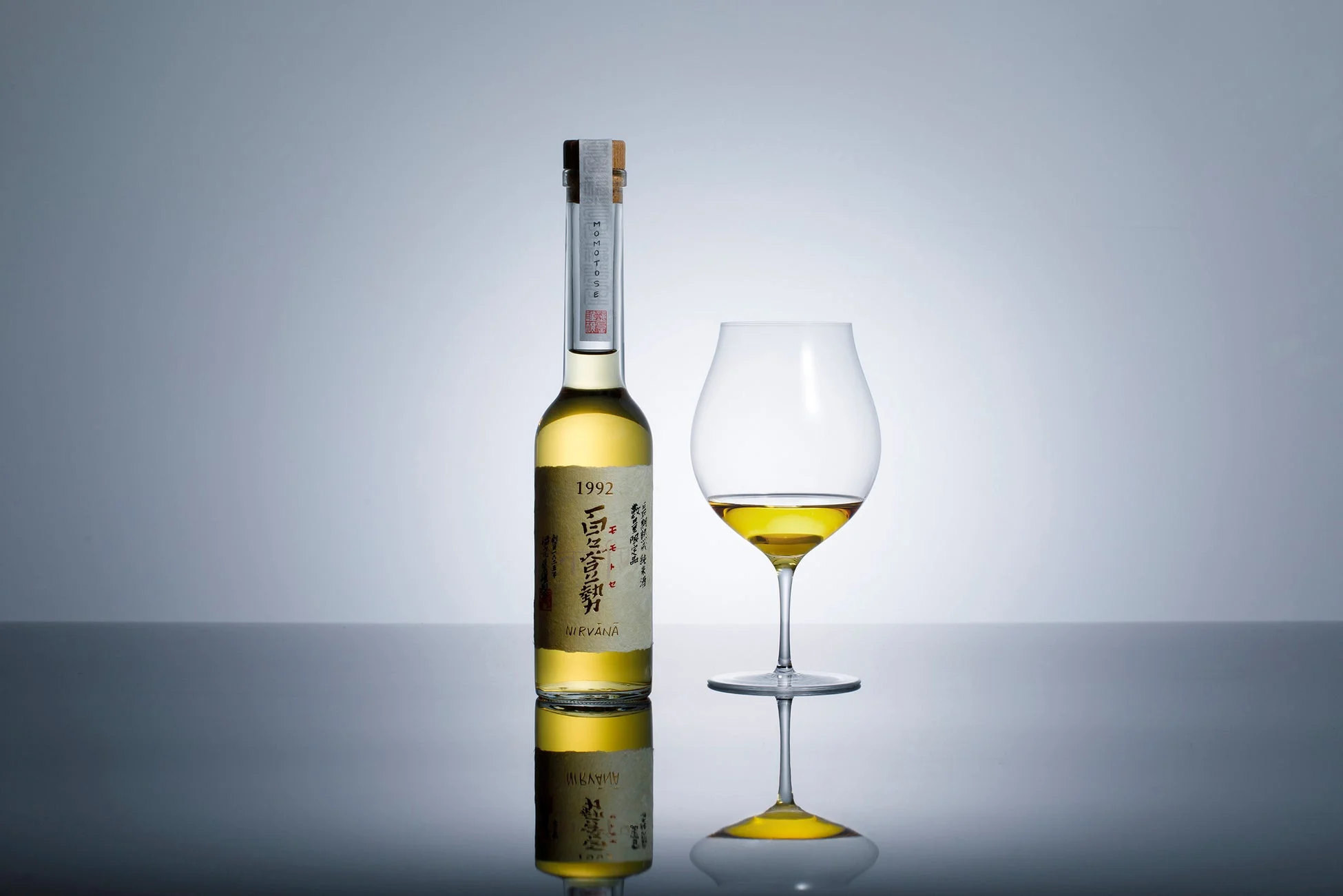 百々登勢 NIRVANA 1992