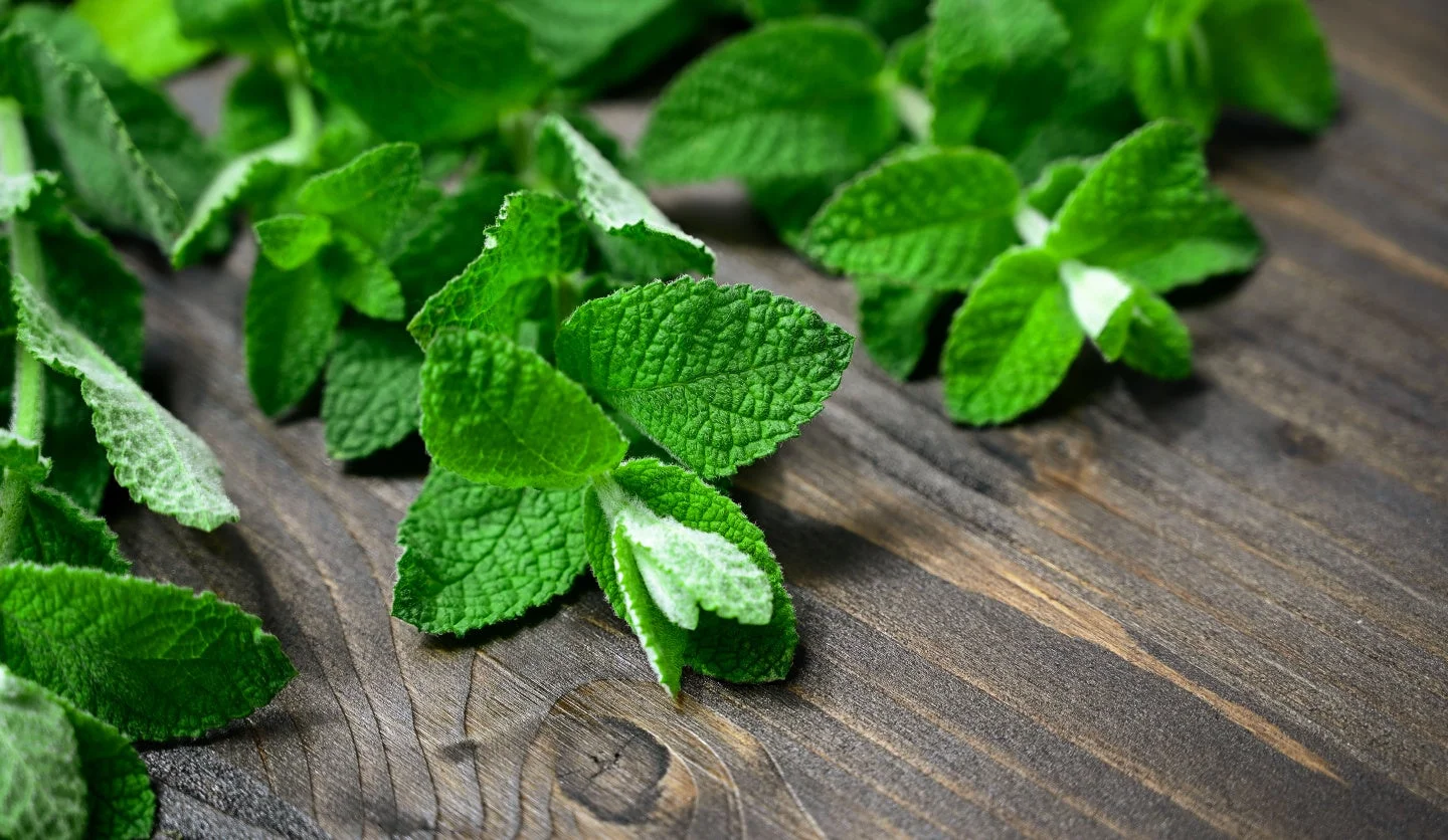 ミントの葉