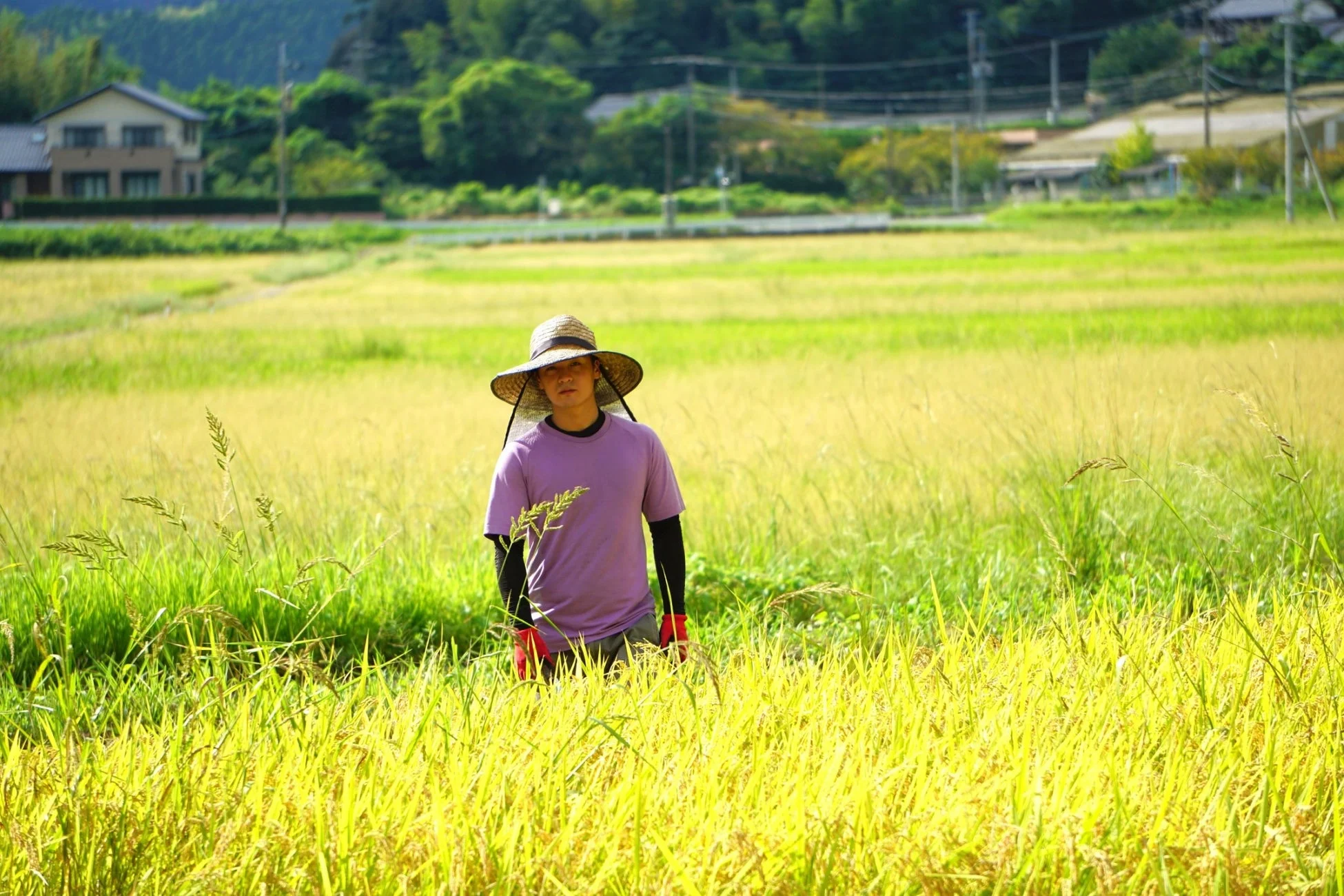 麦わら帽子をかぶった人物と田園風景