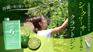 沖縄からの挑戦！30歳女性蒸留家が情熱を注ぐ「F1ジン タートルグリーン」が切り開くクラフトジンの新常識✨