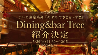 浅草橋の隠れた名店がテレビ初登場！🎄一年中クリスマスが楽しめる「Dining&bar Tree」が『モヤさま2』で紹介される理由とは？✨