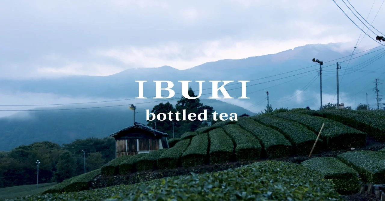 茶畑とIBUKIロゴ