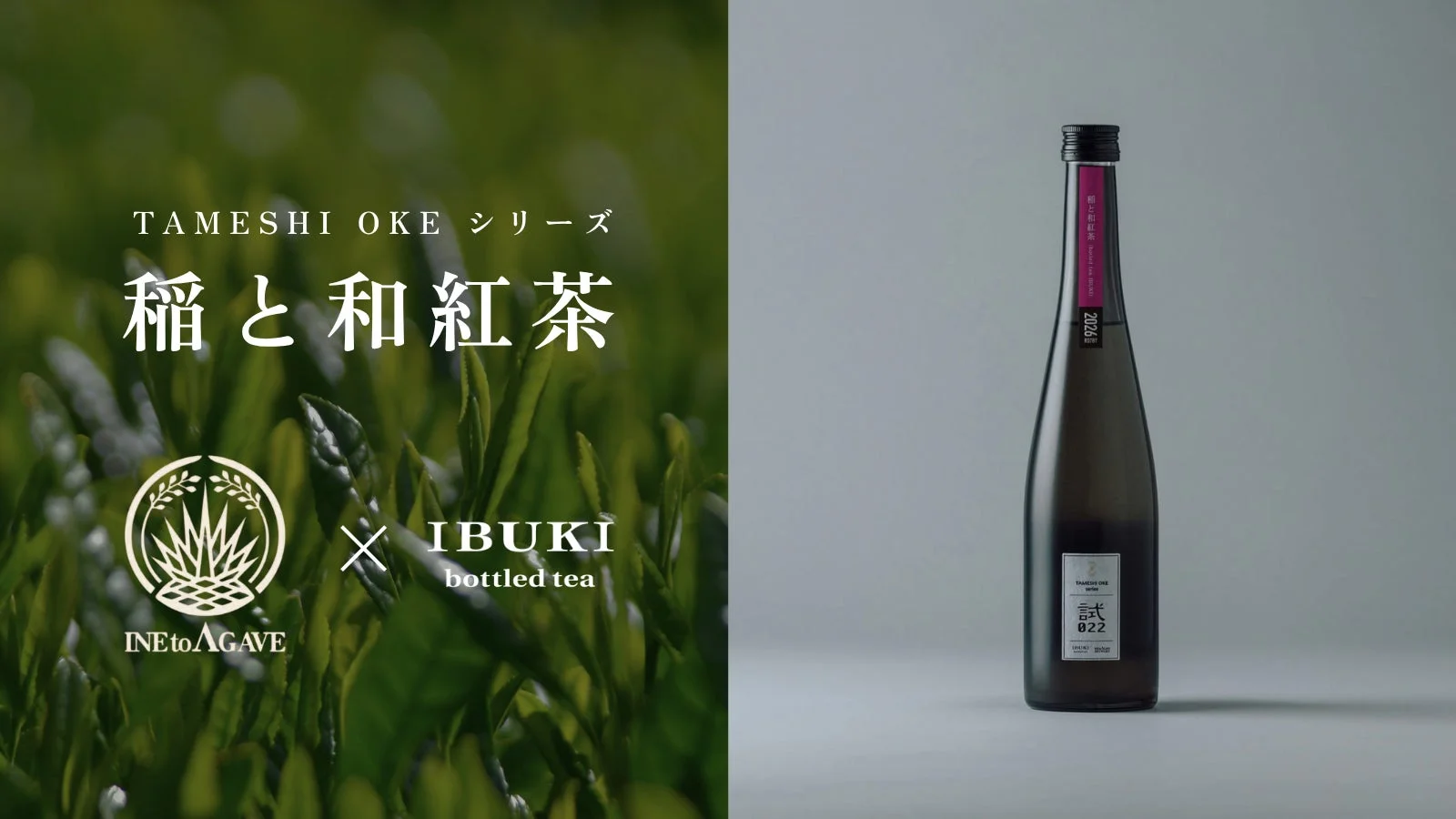 「TAMESHI OKE シリーズ 稲と和紅茶」と記された商品の宣伝画像。緑の茶畑を背景に商品名とブランドロゴ(INe to AGAVEとIBUKI bottled teaのコラボレーション)があり、右側には「弐 022」と書かれたボトルが置かれている。