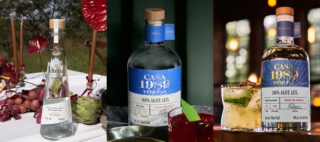 日本人初！LUNA SEA INORAN氏がグローバルアンバサダー！メキシコの次世代テキーラが日本上陸🥃✨